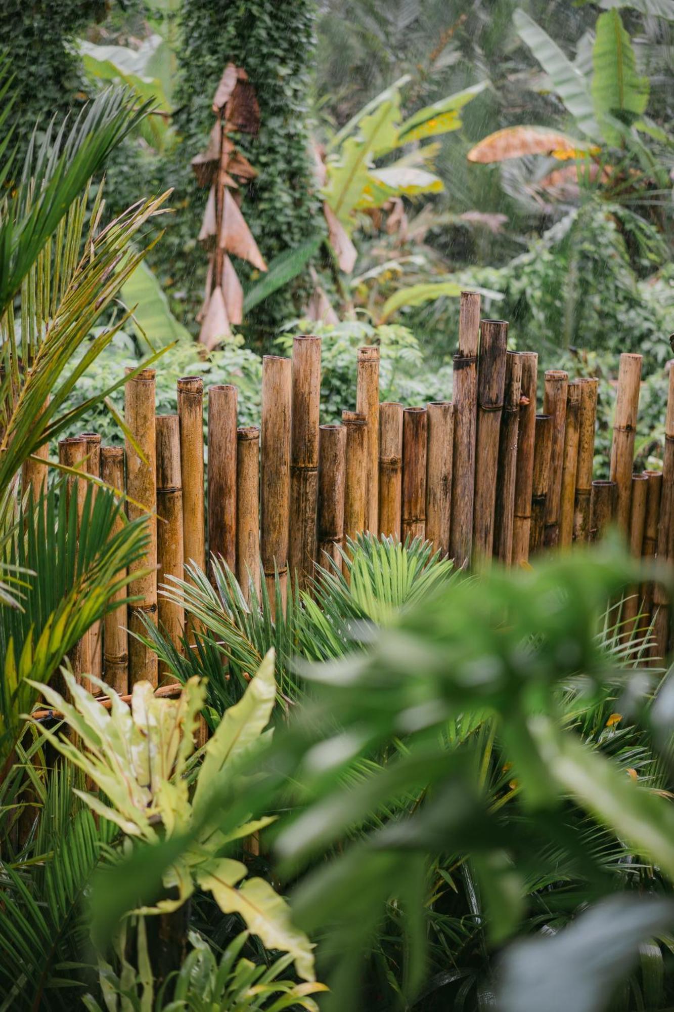 Alamvaya Bali Bamboo House Βίλα Sidemen  Εξωτερικό φωτογραφία